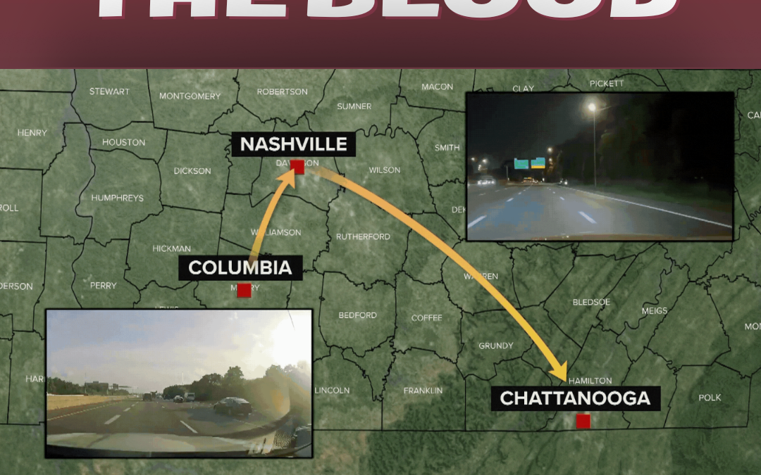 Follow the Blood: The Journey From Donor to Patient